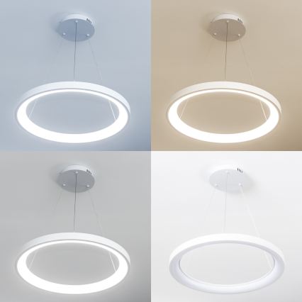 Brilagi - Lustre pendente LED dimerizável em cabo FALCON SLIM LED/42W/230V 3000-6500K Ø 50 cm branco + controlo remoto