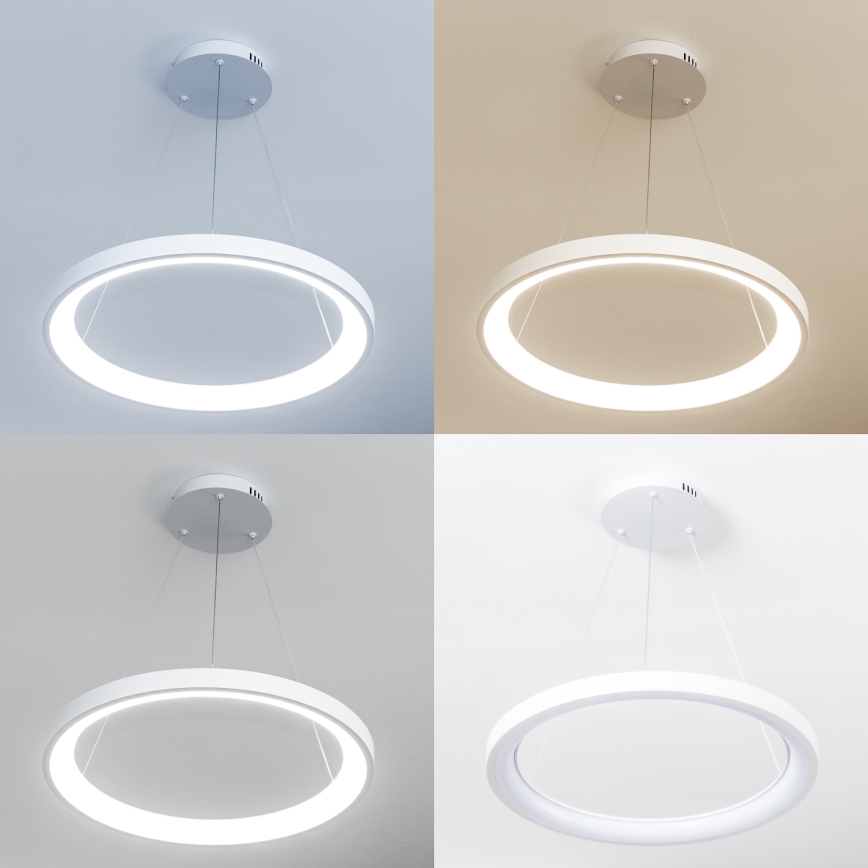 Brilagi - Lustre pendente LED dimerizável em cabo FALCON SLIM LED/42W/230V 3000-6500K Ø 50 cm branco + controlo remoto