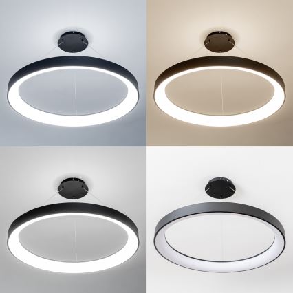 Brilagi - Lustre LED dimável suspenso por cabo FALCON II LED/108W/230V 3000-6500K diâmetro 80 cm preto + comando remoto