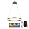 BRILAGI - Lustre LED regulável suspenso por cabo CIRCLE LED/42W/230V 3000-6500K Ø 60 cm castanho + controlo remoto