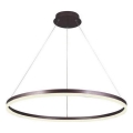 Brilagi - Lustre LED regulável suspenso por cabo CIRCLE LED/55W/230V 3000-6500K, diâmetro 80 cm, castanho + controlo remoto
