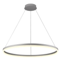 Brilagi - Lustre LED regulável suspenso por cabo CIRCLE LED/55W/230V 3000-6500K diâmetro 80 cm prateado + controlo remoto