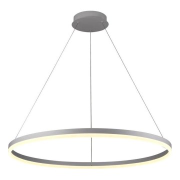 Brilagi - Lustre LED regulável suspenso por cabo CIRCLE LED/55W/230V 3000-6500K diâmetro 80 cm prateado + controlo remoto