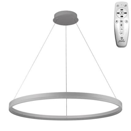Brilagi - Lustre LED dimerizável suspenso por cabo CIRCLE LED/55W/230V 3000-6500K, diâmetro 80 cm, prateado + controlo remoto