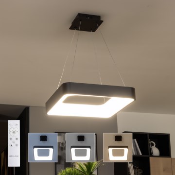 Brilagi - lustre LED regulável suspenso por cabo FALCON II LED/80W/230V 3000-6500K 40x40 cm preto + controlo remoto