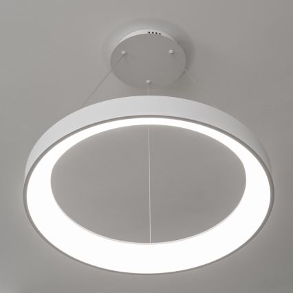 Brilagi - Lustre LED dimerizável suspenso por cabo FALCON II LED/99W/230V 3000-6500K Ø 60 cm branco + controlo remoto