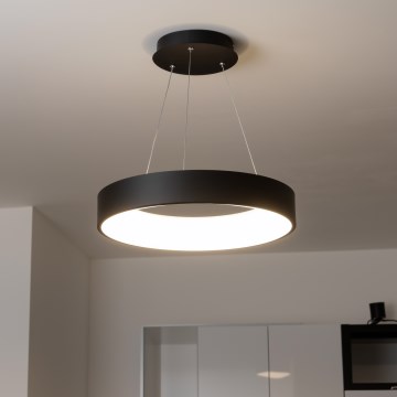 Brilagi - Lustre LED regulável suspenso por cabo FALCON LED/40W/230V 3000-6500K Ø 45 cm preto + comando remoto