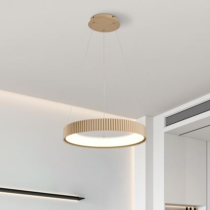 Brilagi - Lustre LED dimerizável suspenso por cabo FALCON MODERN LED/30W/230V 3000-6500K 40 cm bege + controlo remoto
