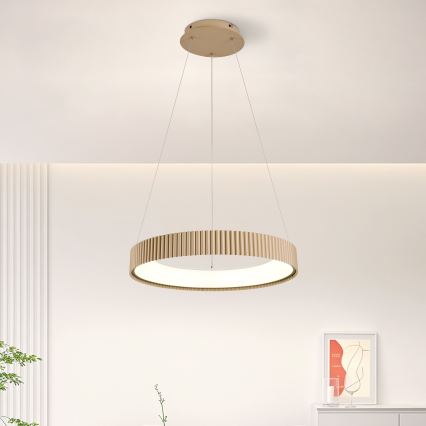Brilagi - Lustre LED dimerizável suspenso por cabo FALCON MODERN LED/30W/230V 3000-6500K 40 cm bege + controlo remoto