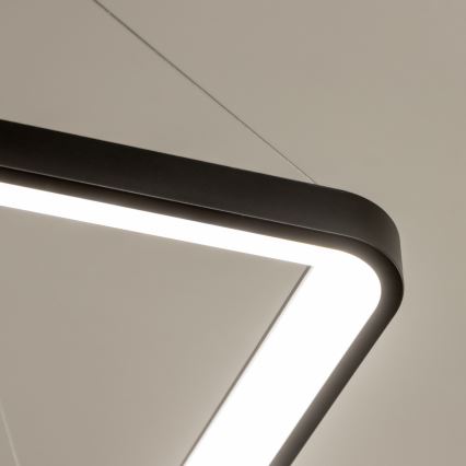 Brilagi - Pendente LED dimerizável em cabo FALCON SLIM LED/50W/230V 3000-6500K 50x50 cm preto + controlo remoto