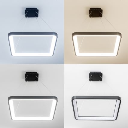 Brilagi - Pendente LED dimerizável em cabo FALCON SLIM LED/50W/230V 3000-6500K 50x50 cm preto + controlo remoto