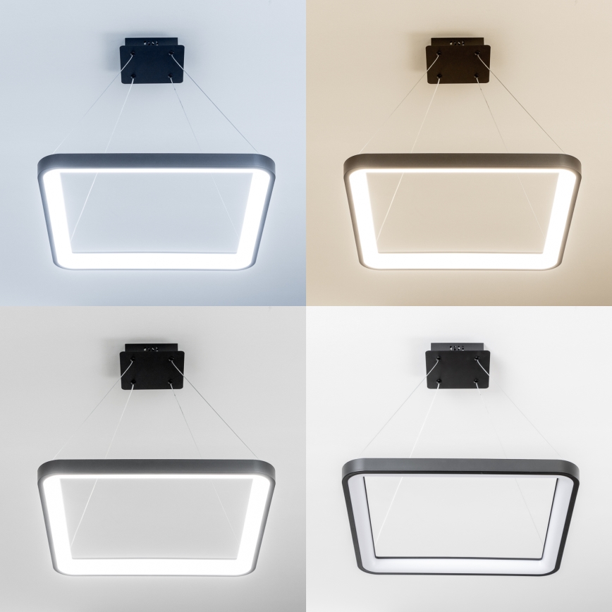 Brilagi - Pendente LED dimerizável em cabo FALCON SLIM LED/50W/230V 3000-6500K 50x50 cm preto + controlo remoto