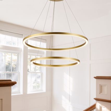 Brilagi - Lustre LED dimerizável suspenso por cabo PORTOFINO LED/98W/230V 3000-6000K diâmetro 80 cm dourado + telecomando