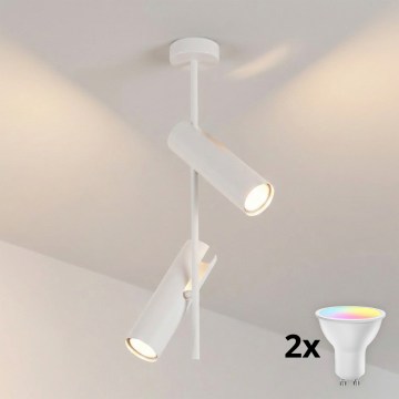 Brilagi - Lustre LED RGBW dimerizável de haste BRANCH 2xGU10/6,5W/230V 2700-6500K branco
