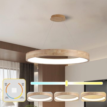 Brilagi - Lustre LED suspenso por cabo FALCON WOOD LED/60W/230V 3000/4000/6000K Ø 80 cm, acabamento em madeira