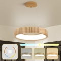 Brilagi - Lustre LED suspenso por cabo FALCON WOOD MODERN LED/30W/230V 3000/4000/6000K diâmetro 45 cm madeira
