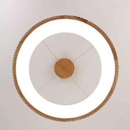 Brilagi - Lustre LED suspenso por cabo FALCON WOOD MODERN LED/40W/230V 3000/4000/6000K Ø 60 cm madeira