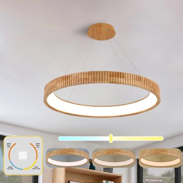 Brilagi - Lustre LED suspenso por cabo FALCON WOOD MODERN LED/60W/230V 3000/4000/6000K diâmetro 80 cm madeira