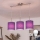 Brilagi - Lustre LED suspenso por cabo NUBILA 3xE27/60W/230V roxo