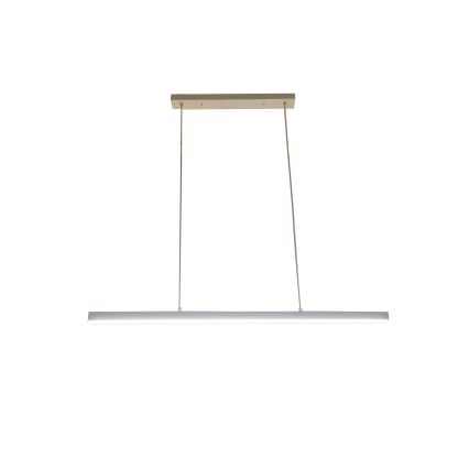 Brilagi - Lustre LED suspenso por cabo PAXIS LED/30W/230V 120 cm branco