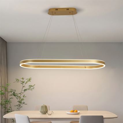 Brilagi - Lustre LED suspenso por cabo PONDIE LED/44W/230V 80x30 cm dourado