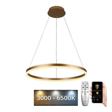 Brilagi - Lustre pendente dimerizável em cabo CIRCLE LED/42W/230V 3000-6500K, diâmetro 60 cm + controlo remoto