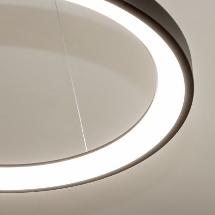 Brilagi - Lustre LED regulável suspenso por cabo FALCON SLIM LED/42W/230V 3000–6500K Ø 50 cm preto + comando remoto