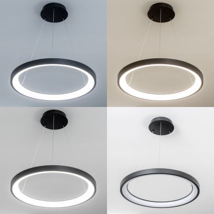 Brilagi - Lustre LED regulável suspenso por cabo FALCON SLIM LED/42W/230V 3000–6500K Ø 50 cm preto + comando remoto