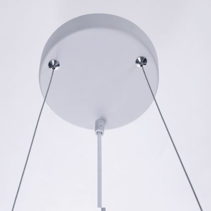BRILAGI - Lustre pendente em cabo SELE 6xGU10/30W/230V branco