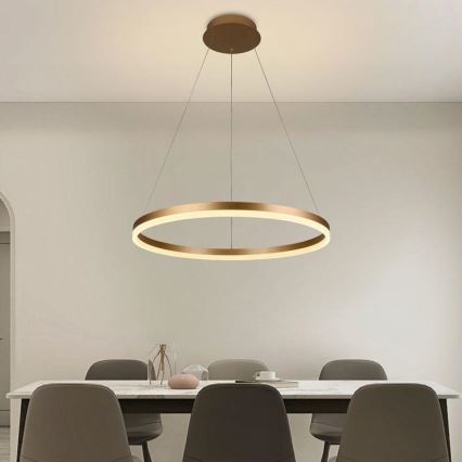 Brilagi - Lustre suspenso LED dimmerizável em cabo CIRCLE LED/42W/230V 3000-6500K Ø 60 cm + controlo remoto