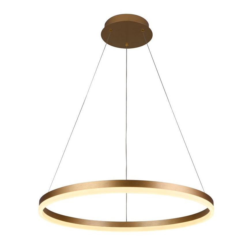 Brilagi - Lustre suspenso LED dimmerizável em cabo CIRCLE LED/42W/230V 3000-6500K Ø 60 cm + controlo remoto