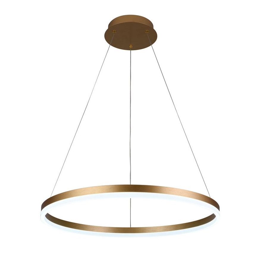 Brilagi - Lustre suspenso LED dimmerizável em cabo CIRCLE LED/42W/230V 3000-6500K Ø 60 cm + controlo remoto