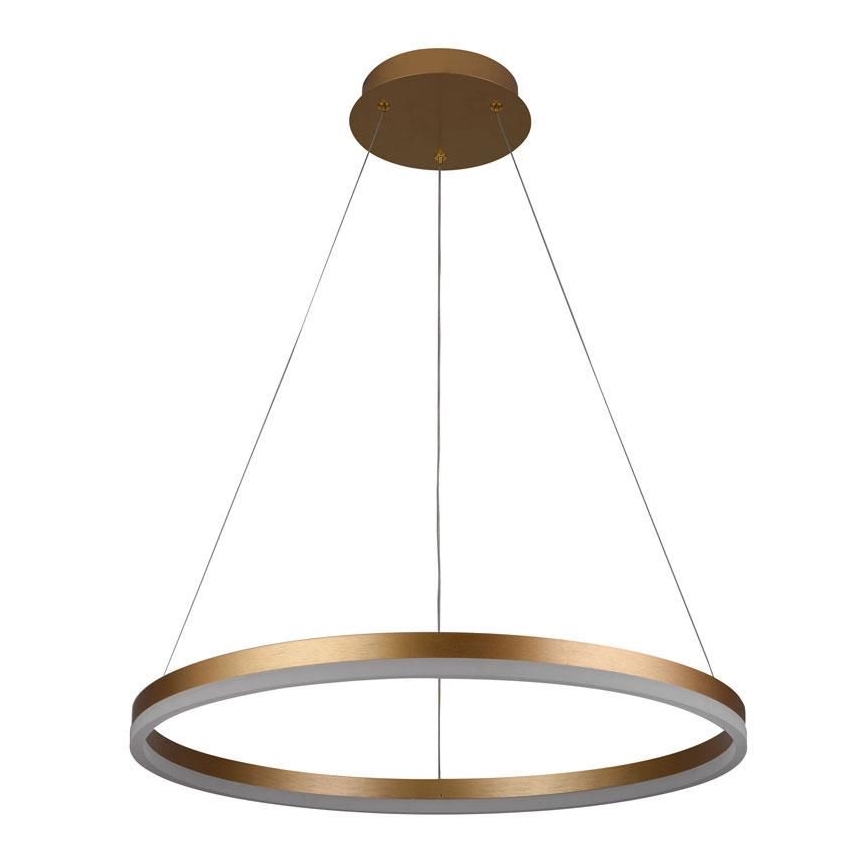 Brilagi - Lustre suspenso LED dimmerizável em cabo CIRCLE LED/42W/230V 3000-6500K Ø 60 cm + controlo remoto