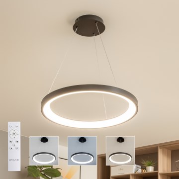 Brilagi - Lustre pendente LED dimerizável em cabo FALCON SLIM LED/42W/230V 3000-6500K diâmetro 50 cm preto + controlo remoto
