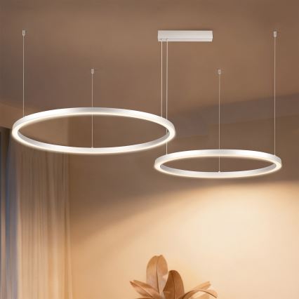 Brilagi - Lustre dimerizável suspenso por cabo PORTOFINO LED/98W/230V 3000-6000K prateado + comando remoto