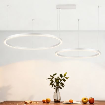 Brilagi - Lustre dimerizável suspenso por cabo PORTOFINO LED/98W/230V 3000-6000K prateado + comando remoto