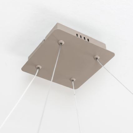 BRILAGI - Lustre LED regulável suspenso por cabo FALCON SLIM LED/50W/230V 3000-6500K 50x50 cm bege + controlo remoto