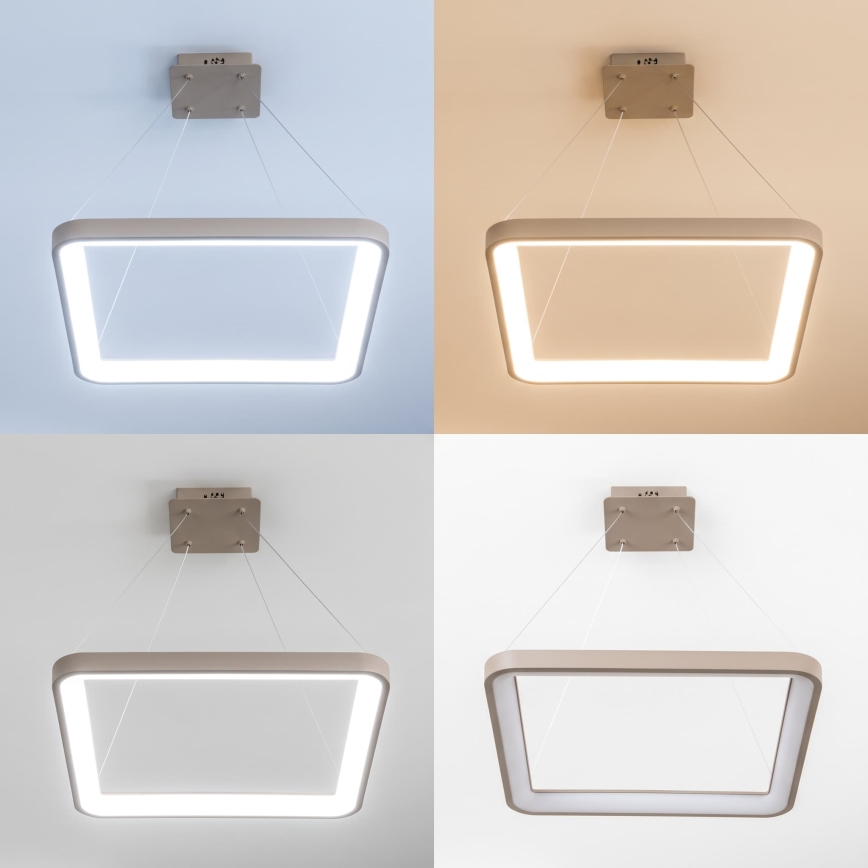 BRILAGI - Lustre LED regulável suspenso por cabo FALCON SLIM LED/50W/230V 3000-6500K 50x50 cm bege + controlo remoto