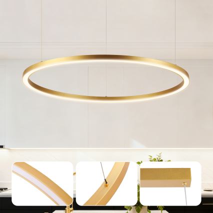 Brilagi - Lustre LED dimerizável suspenso por cabo PORTOFINO LED/60W/230V 3000-6000K diâmetro 80 cm dourado + comando remoto