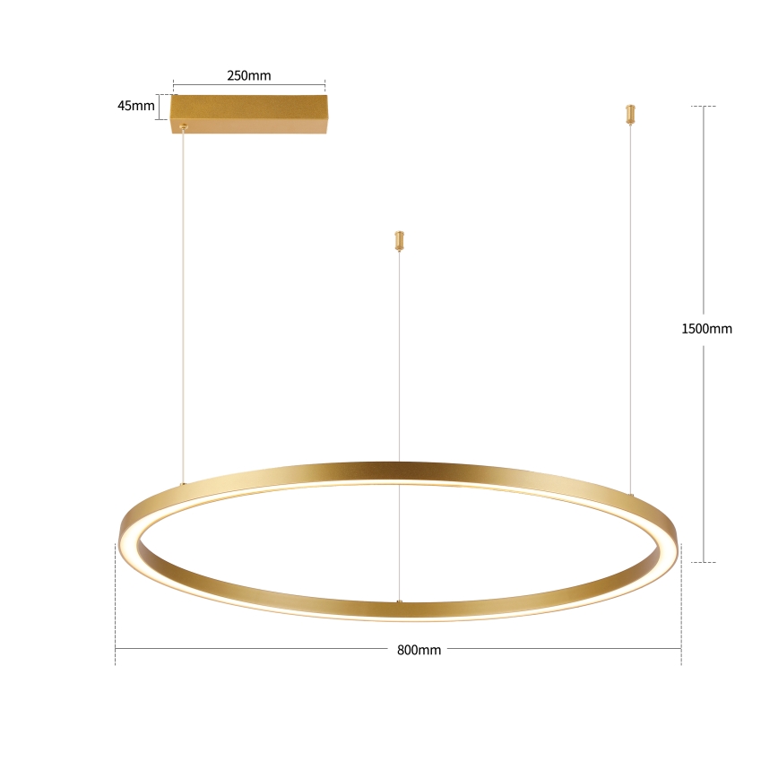 Brilagi - Lustre LED dimerizável suspenso por cabo PORTOFINO LED/60W/230V 3000-6000K diâmetro 80 cm dourado + comando remoto