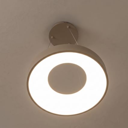 BRILAGI - Lustre LED regulável suspenso por cabo FALCON II LED/67W/230V 3000-6500K Ø 40 cm bege + controlo remoto