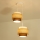 Brilagi - Lustre suspenso em cabo RESNA 2xE27/60W/230V Ø 30 cm bege/preto