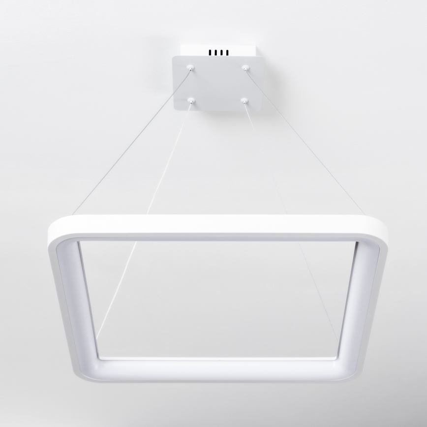 Brilagi - Lustre LED dimável suspenso por cabo FALCON SLIM LED/50W/230V 3000-6500K 50x50 cm branco + controlo remoto