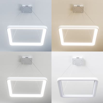 Brilagi - Lustre LED dimável suspenso por cabo FALCON SLIM LED/50W/230V 3000-6500K 50x50 cm branco + controlo remoto