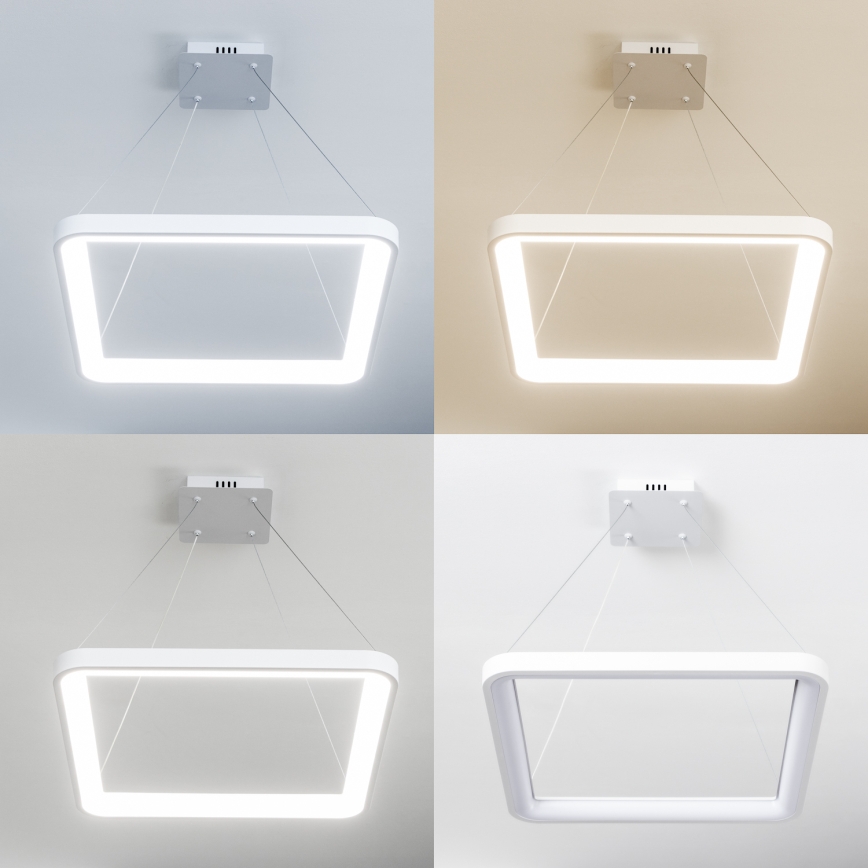 Brilagi - Lustre LED dimável suspenso por cabo FALCON SLIM LED/50W/230V 3000-6500K 50x50 cm branco + controlo remoto