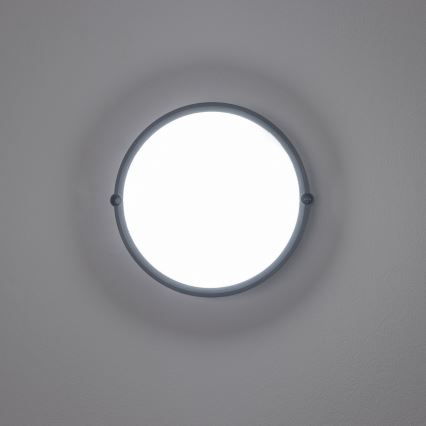 Brilagi - Luz industrial de teto LED SIMA LED/12W/230V IP65 preto antigo