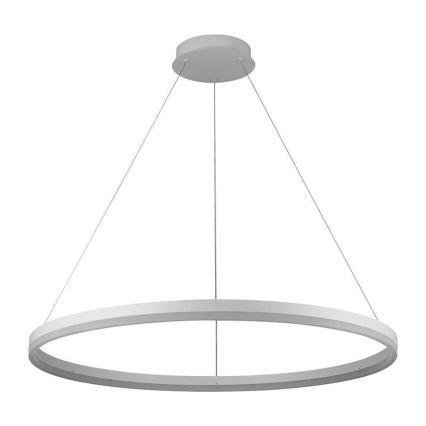 Brilagi - Lustre LED dimerizável suspenso por cabo CIRCLE LED/55W/230V 3000-6500K diâmetro 80 cm branco + comando remoto