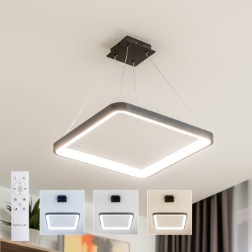 Brilagi - Pendente LED dimerizável em cabo FALCON SLIM LED/50W/230V 3000-6500K 50x50 cm preto + controlo remoto