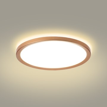 Brilagi - Plafon de casa de banho ULTRA SLIM LED/24W/230V Ø 42 cm ouro rosé IP54