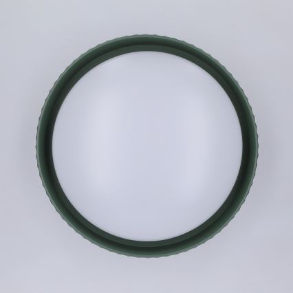 Brilagi - Plafon LED LUCIA LED/24W/230V Ø 31 cm verde